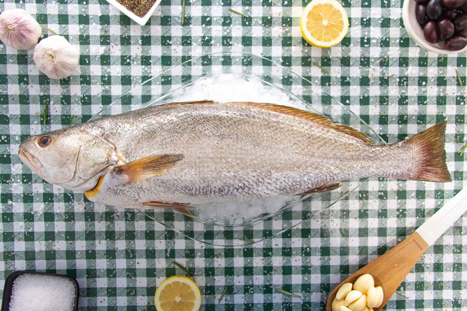דגים טריים - דג מוסר ים טרי