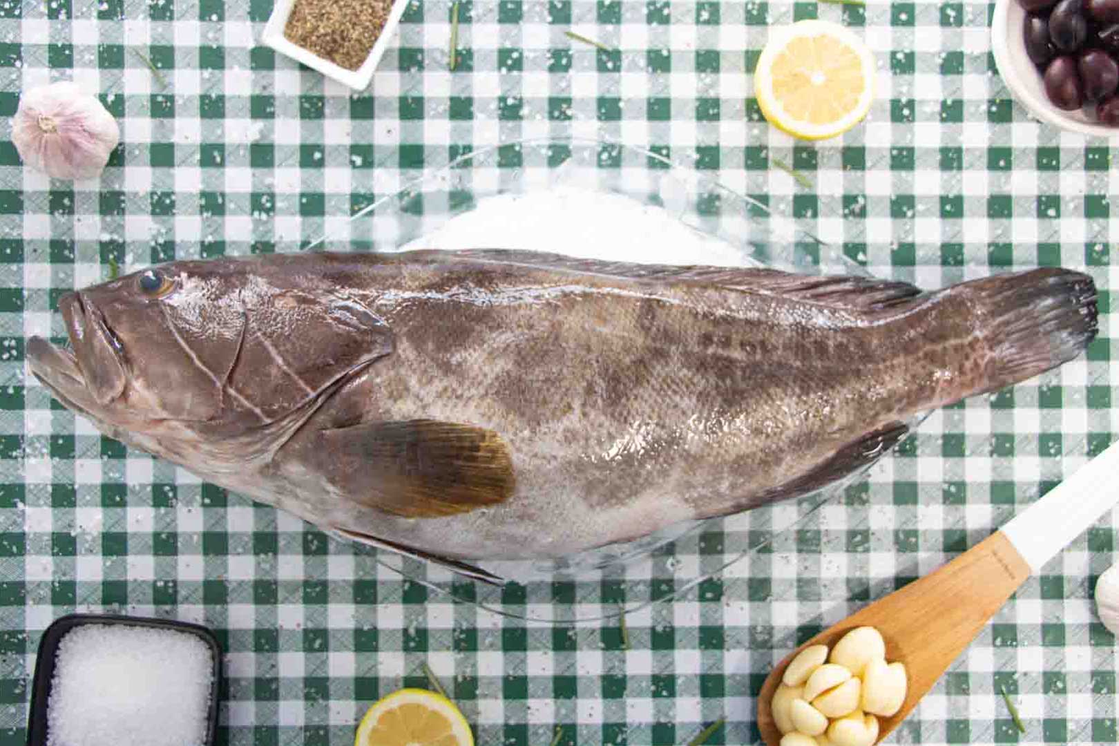 דגים טריים - דג לוקוס